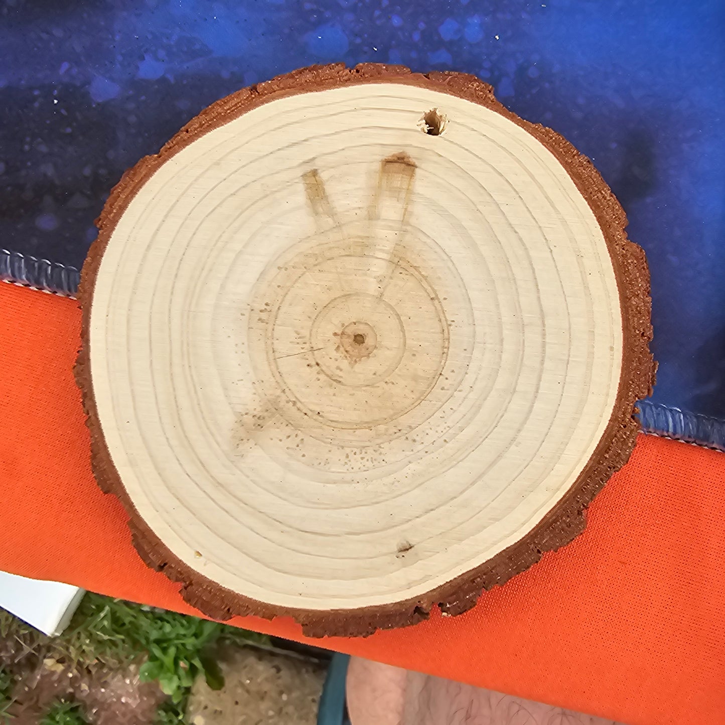 Wood slice Ornaments 3x3