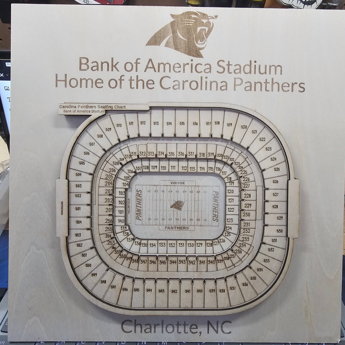 Bank of America Stadium- Carolina Panthers